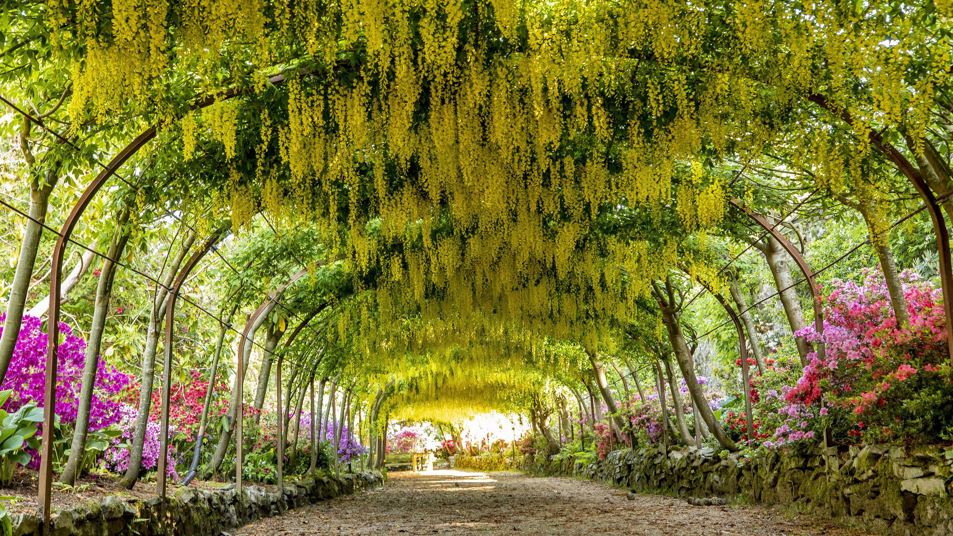 Visit Bodnant Gardens In North Wales 