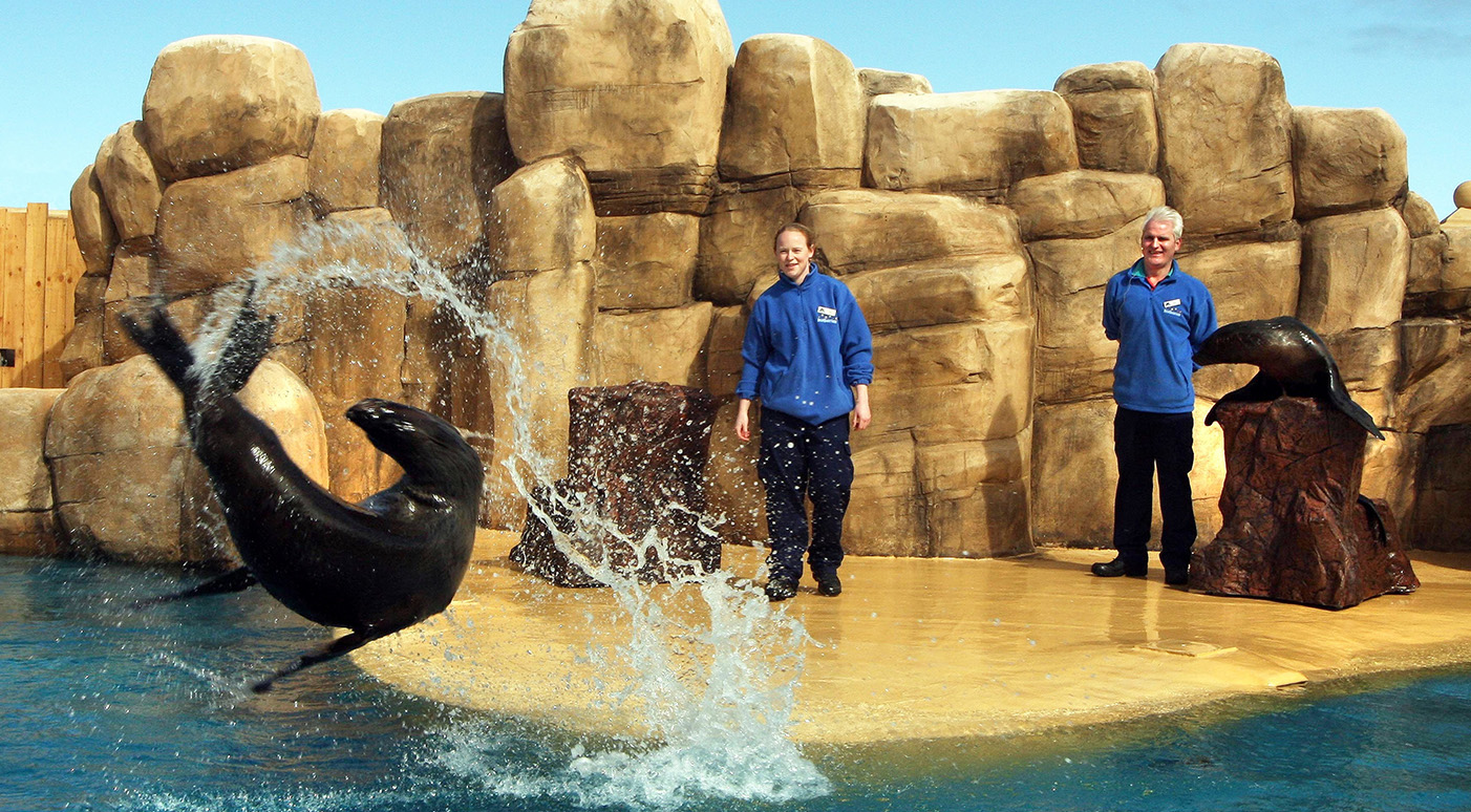 Visit The SeaQuarium In Rhyl