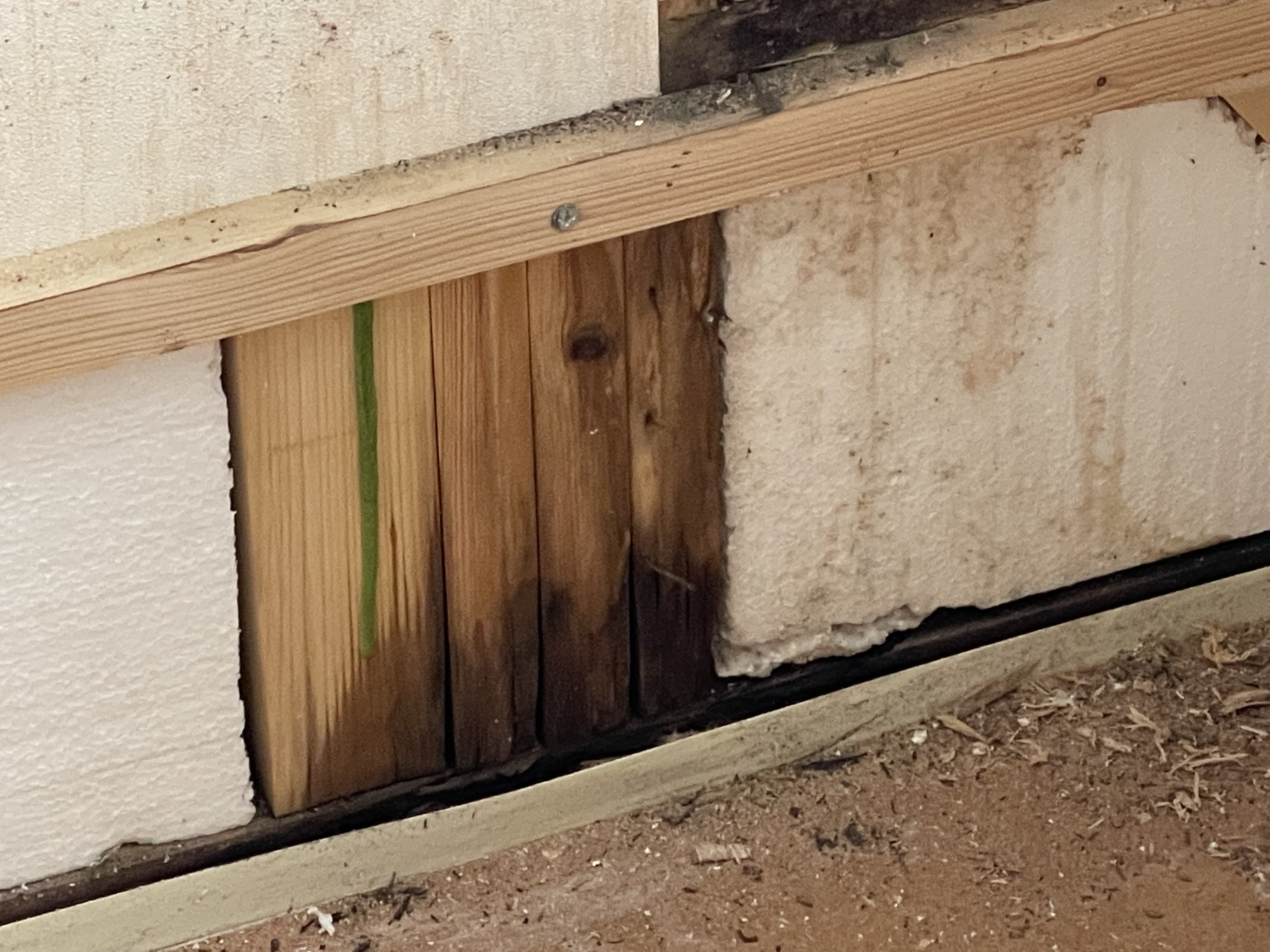 Damp In Static Caravan Roof With Damage Caused By Leaking Caravan Roof North Wales Damp In Static Caravan Roof With Damage Caused By Leaking Caravan Roof North Wales